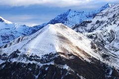 La Tête du Vet