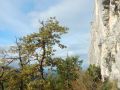 Au pied des Buis avec un ciel partiellement dégagé