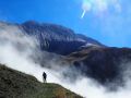 A la sortie de la forêt et de la mer de nuage, sous la crête du Rattier